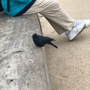 Meet your Posher, James